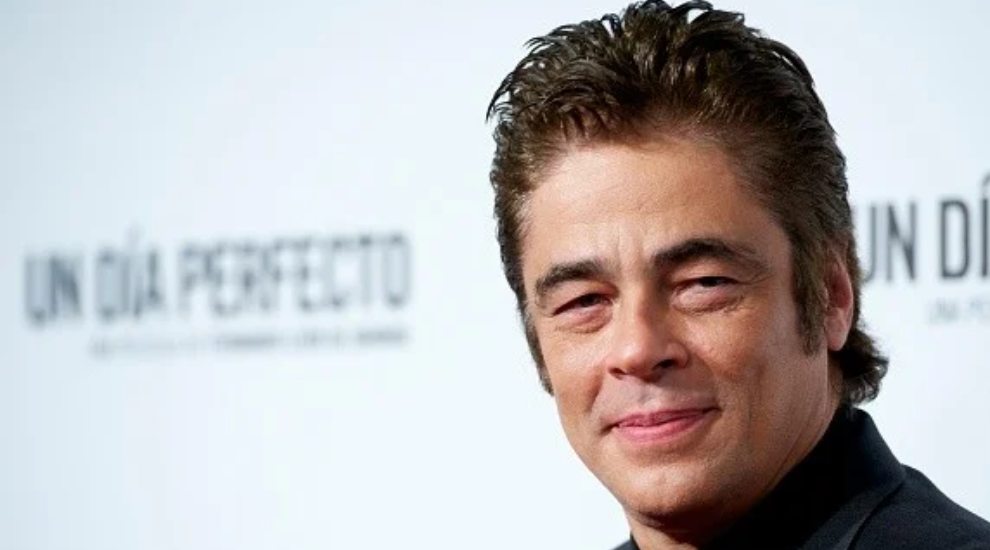 benicio del toro net worth