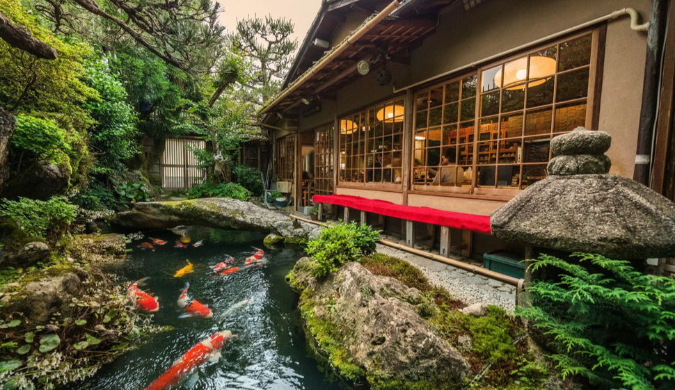 Koi Pond Building